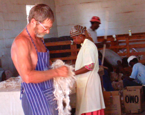 Basie checks the quality of the wool in sorting